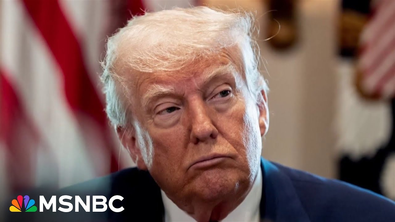 Rep. Jamie Raskin slams Donald Trump’s corruption: ‘It’s a gangster state’