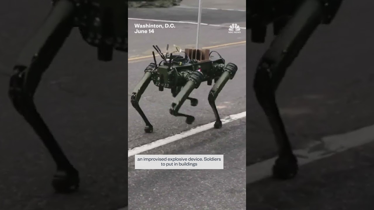 Robotic dogs were featured during the Army’s 250th anniversary parade