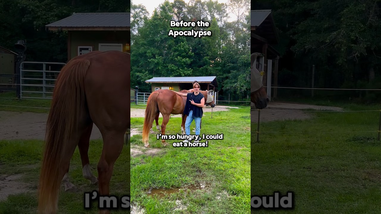 The Horse Hyperbole