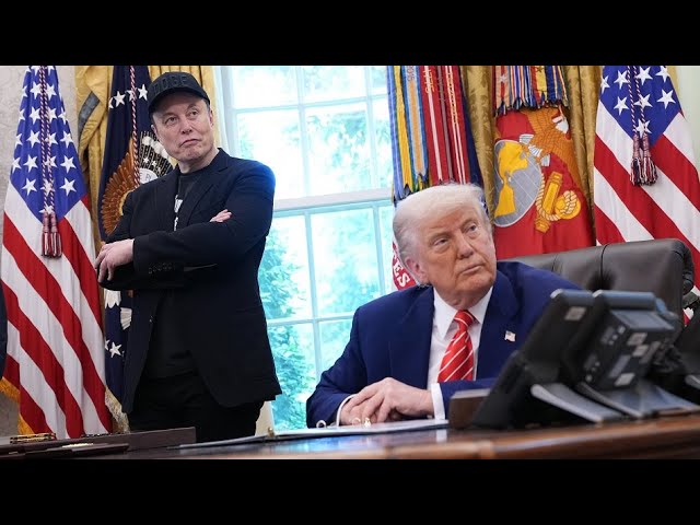 Trump Feud a ‘Disaster’ for Musk, Ross Gerber Says