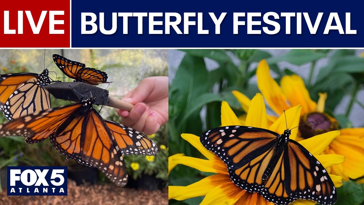 WATCH LIVE: Chattahoochee Nature Center, Butterfly Festival
