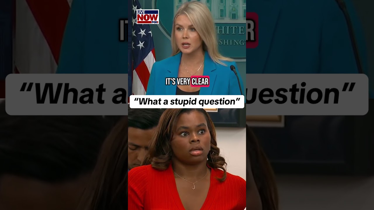 “What a stupid question” on force used against protesters says White House Karoline Leavitt