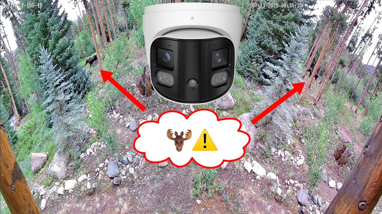 180 Degree Wide Angle Security Camera Records Moose in Colorado