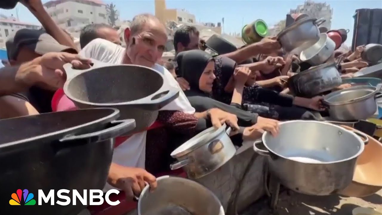 ‘Catastrophic’: Aid groups sound alarm on mass starvation in Gaza