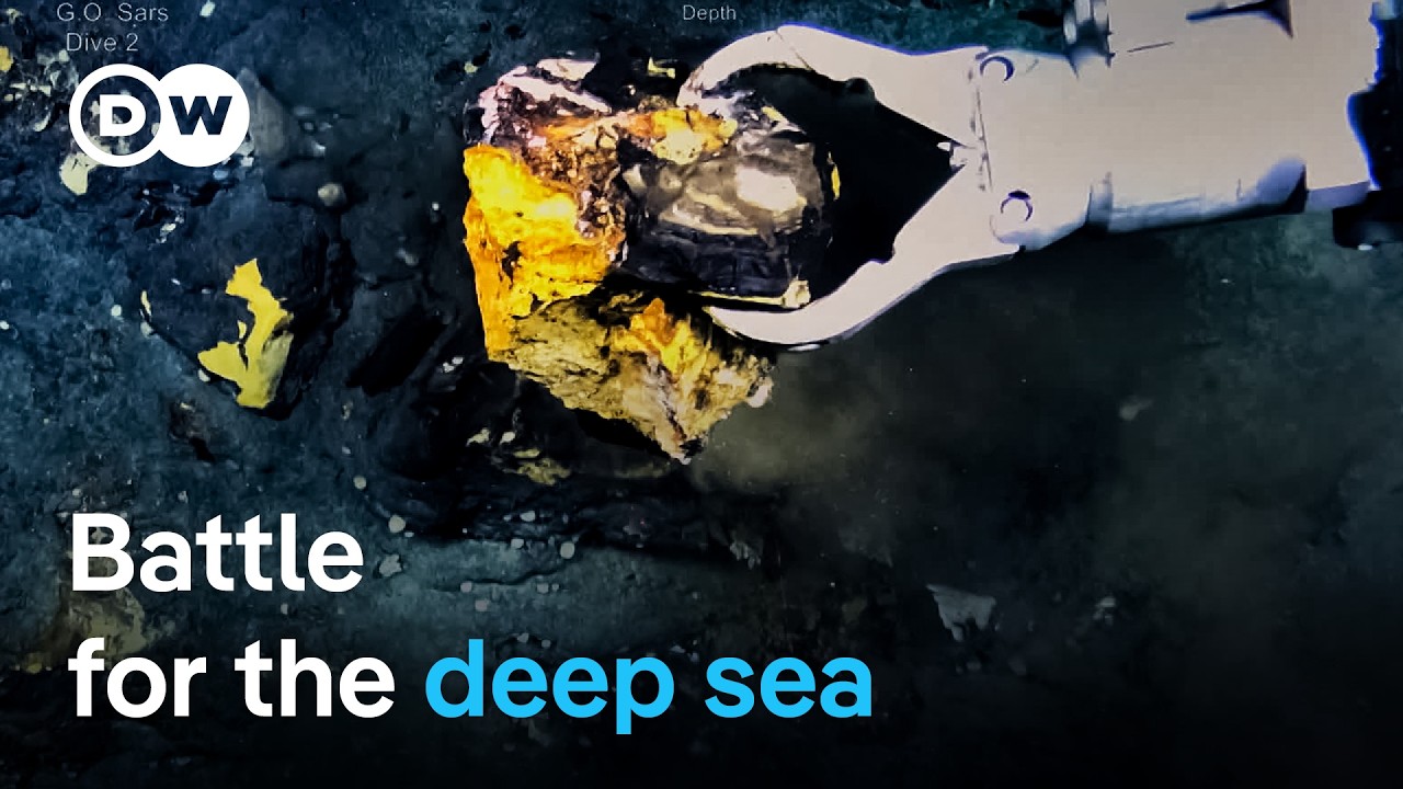 Deep sea mining: What’s the true cost of renewable energies? | DW Documentary