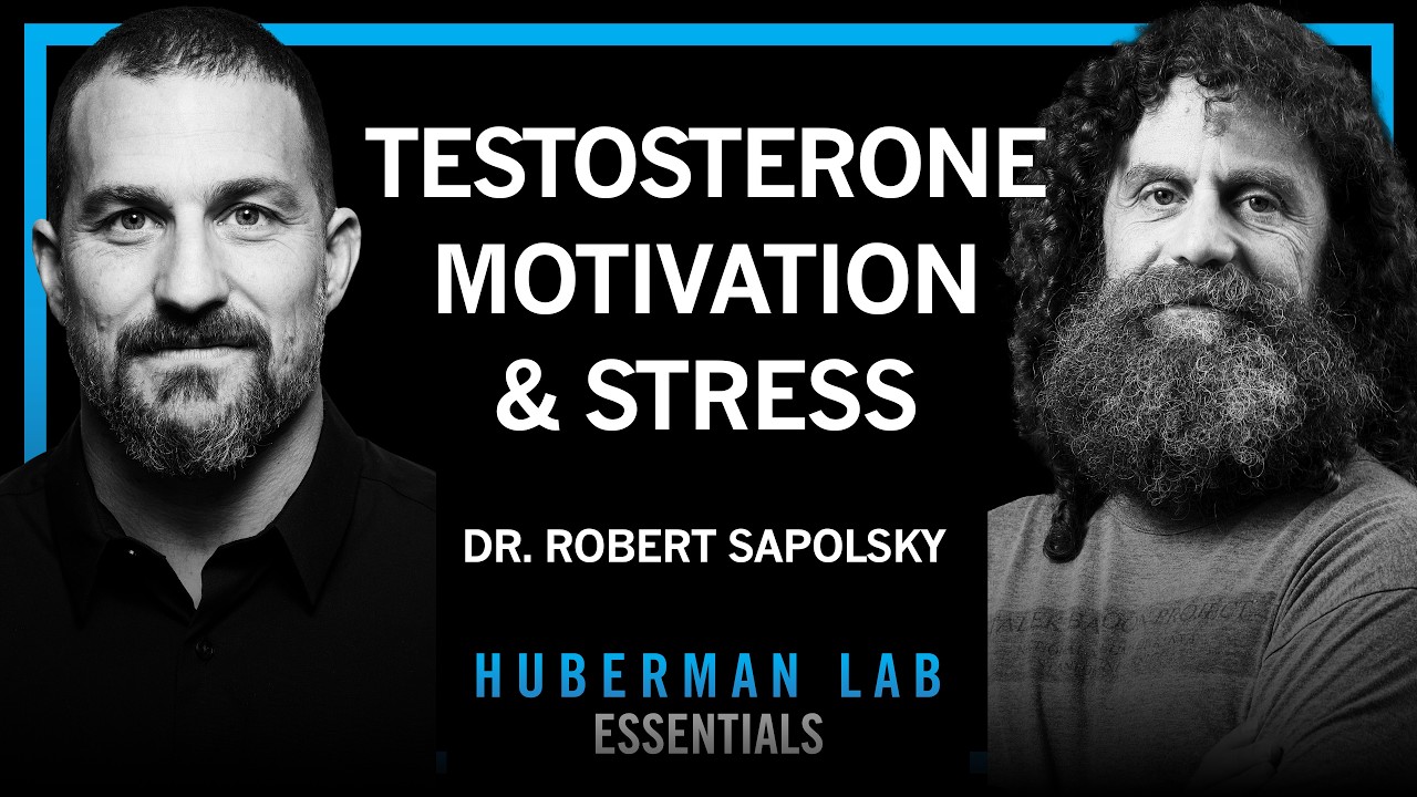 Essentials: Science of Stress, Testosterone, Aggression & Motivation | Dr. Robert Sapolsky