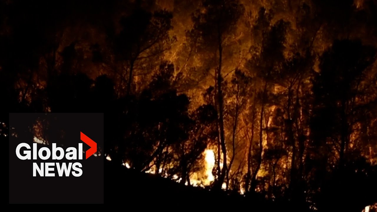 France wildfire contained in south after evacuations near Marseille