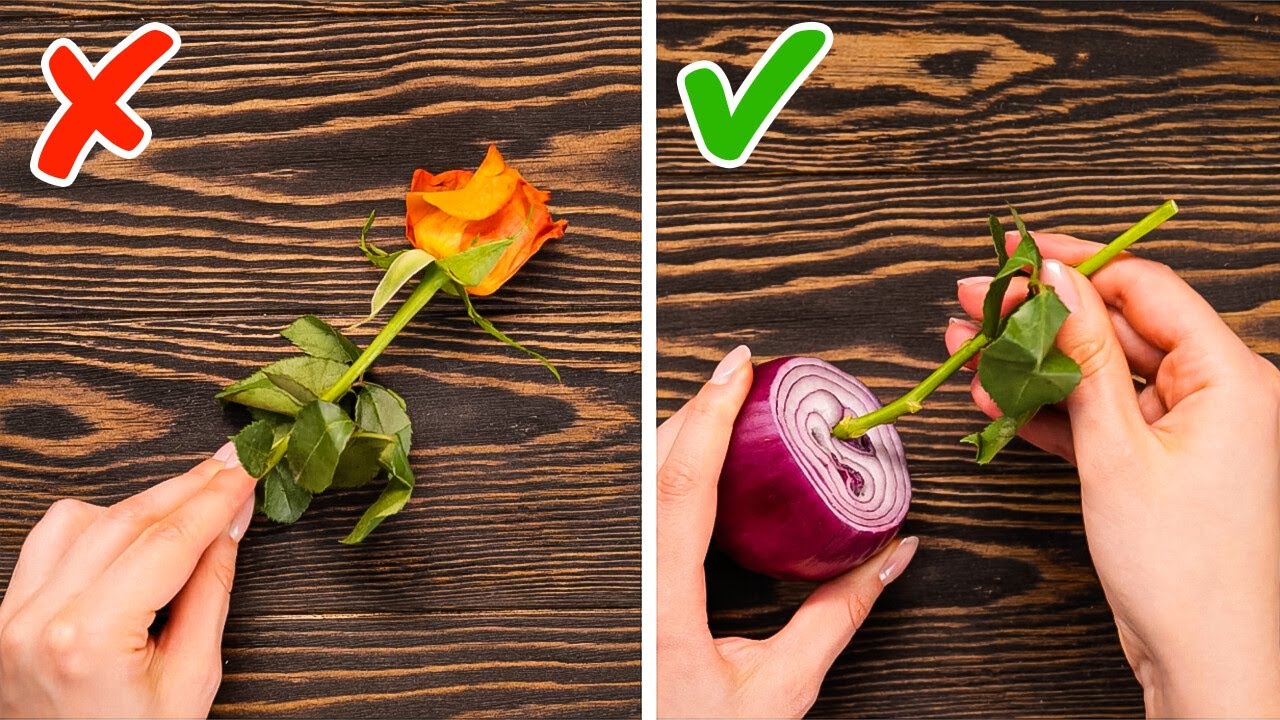 Garden Gadgets & Recycling Hacks That Save Plants, Time & Money! 🛠️💚