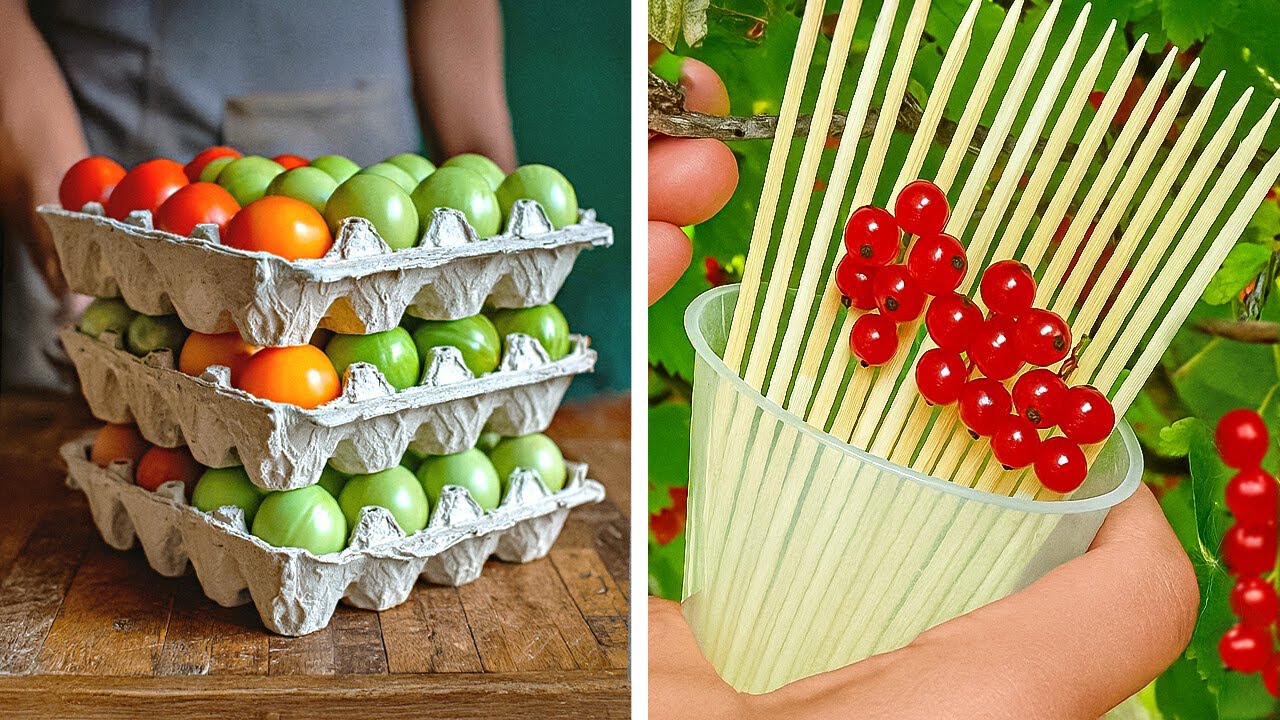 GARDENING FOR BEGINNERS! 🤓 Super Easy Plant Hacks Anyone Can Do! ✨