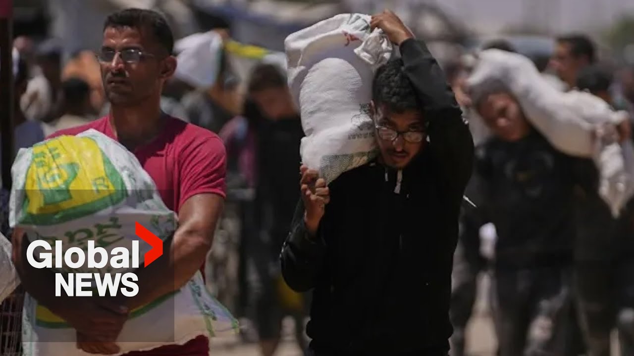 Gaza war: 160+ charities call for shutdown of US and Israeli-backed aid group