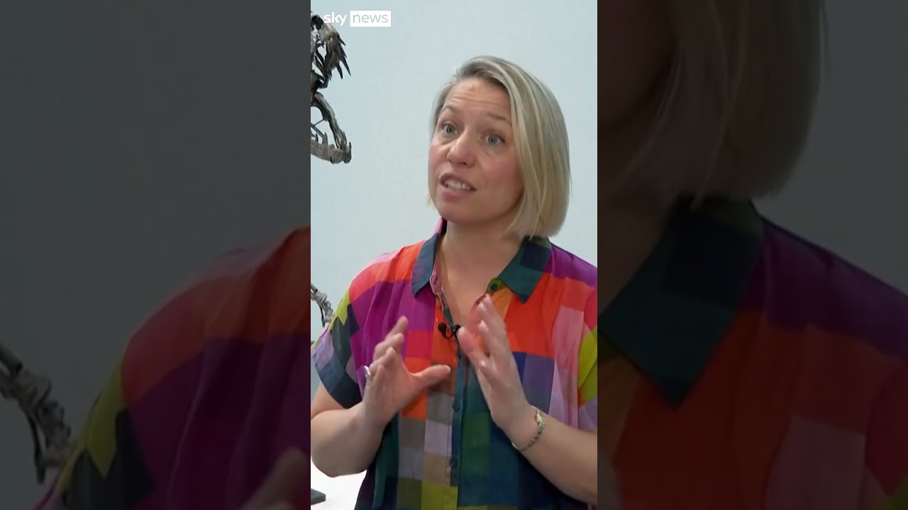 Giant Mars rock up for auction could fetch $4m