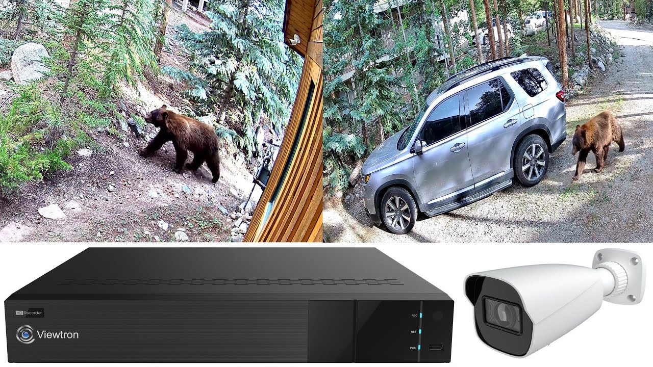 Home Security Camera System Records Bear Video in Keystone, Colorado