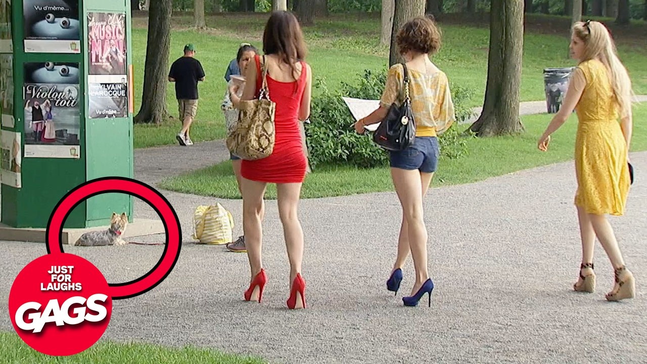 Hot Girls We Have Problems Too | Just For Laughs Gags