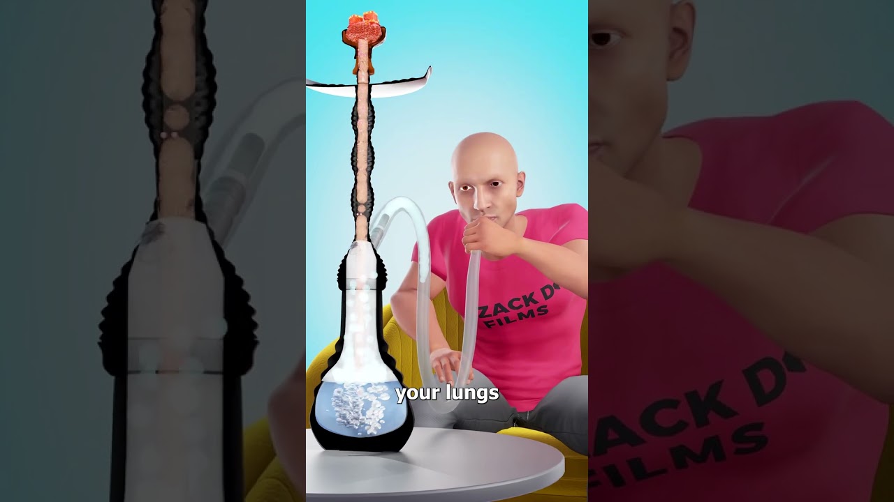 How A Hookah Works 🤔