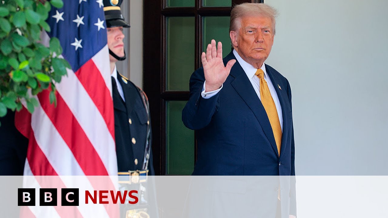 How have six months of US President Donald Trump shaken up the global economy? | BBC News