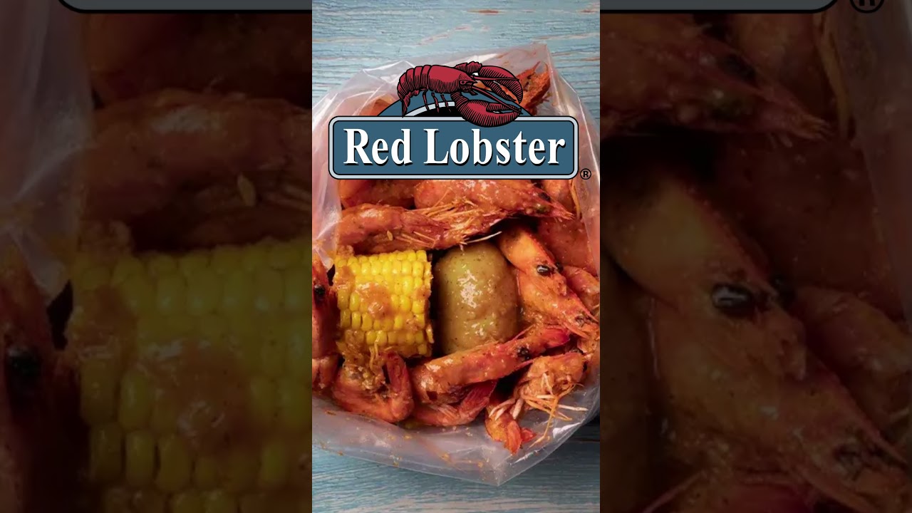 I NEVER LEAVE MY WINDOWS UNLOCKED! #funny #caseoh #meme #viralshort #gaming #memes