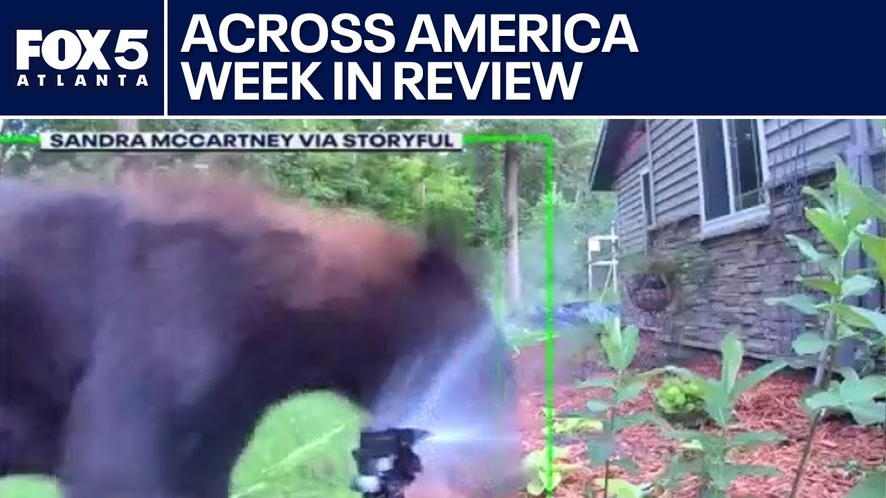 ICE raids, zoo evacuated, Lauryn Hill plays to dozens | FOX 5 News