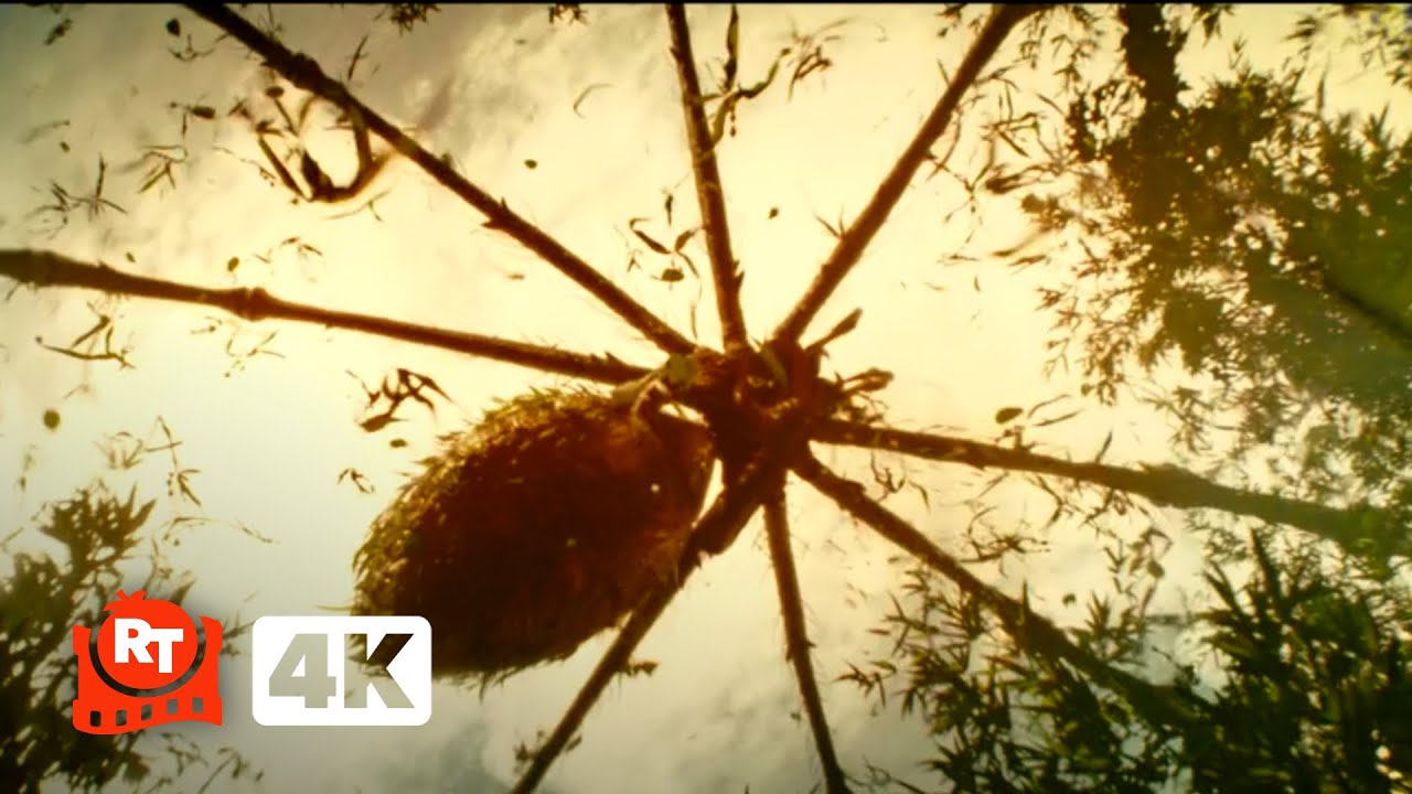 Kong: Skull Island (2017) 4K – Giant Spider Ambush Scene | Movieclips
