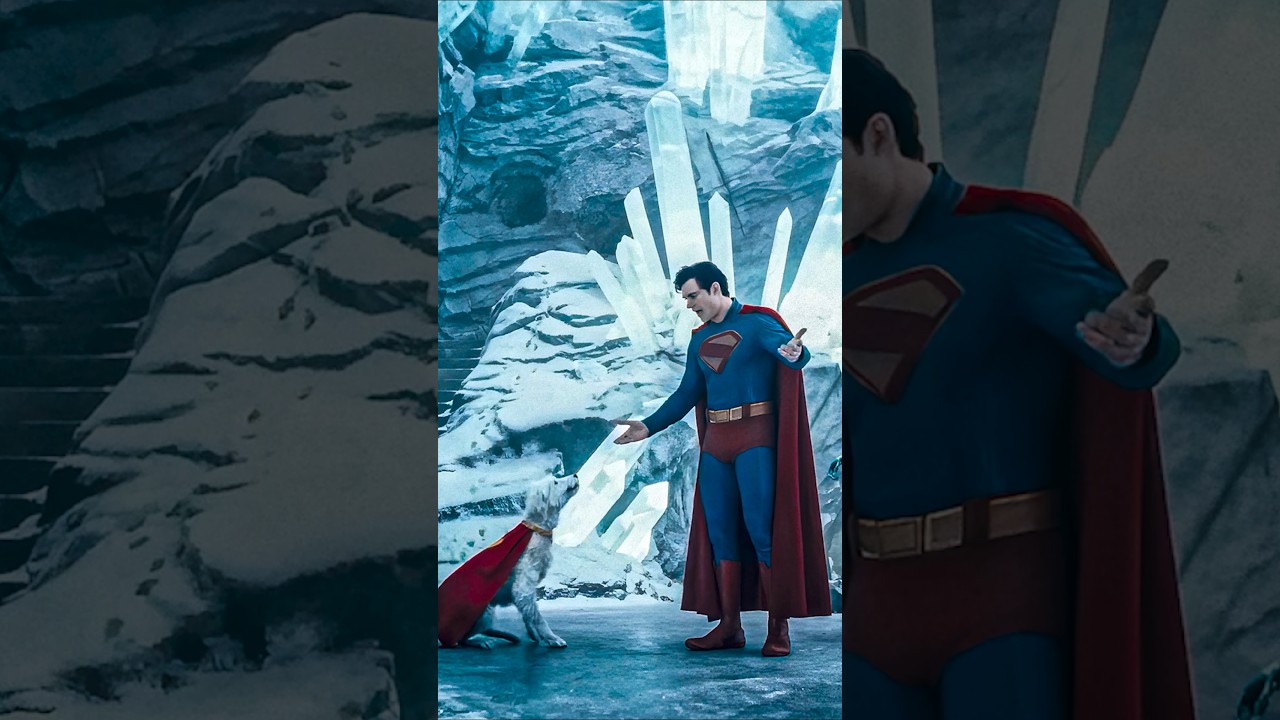 Krypto Annoys Superman 😂