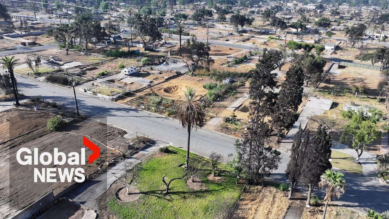 LA wildfires: Recovery ahead of schedule, 6 months after devastation