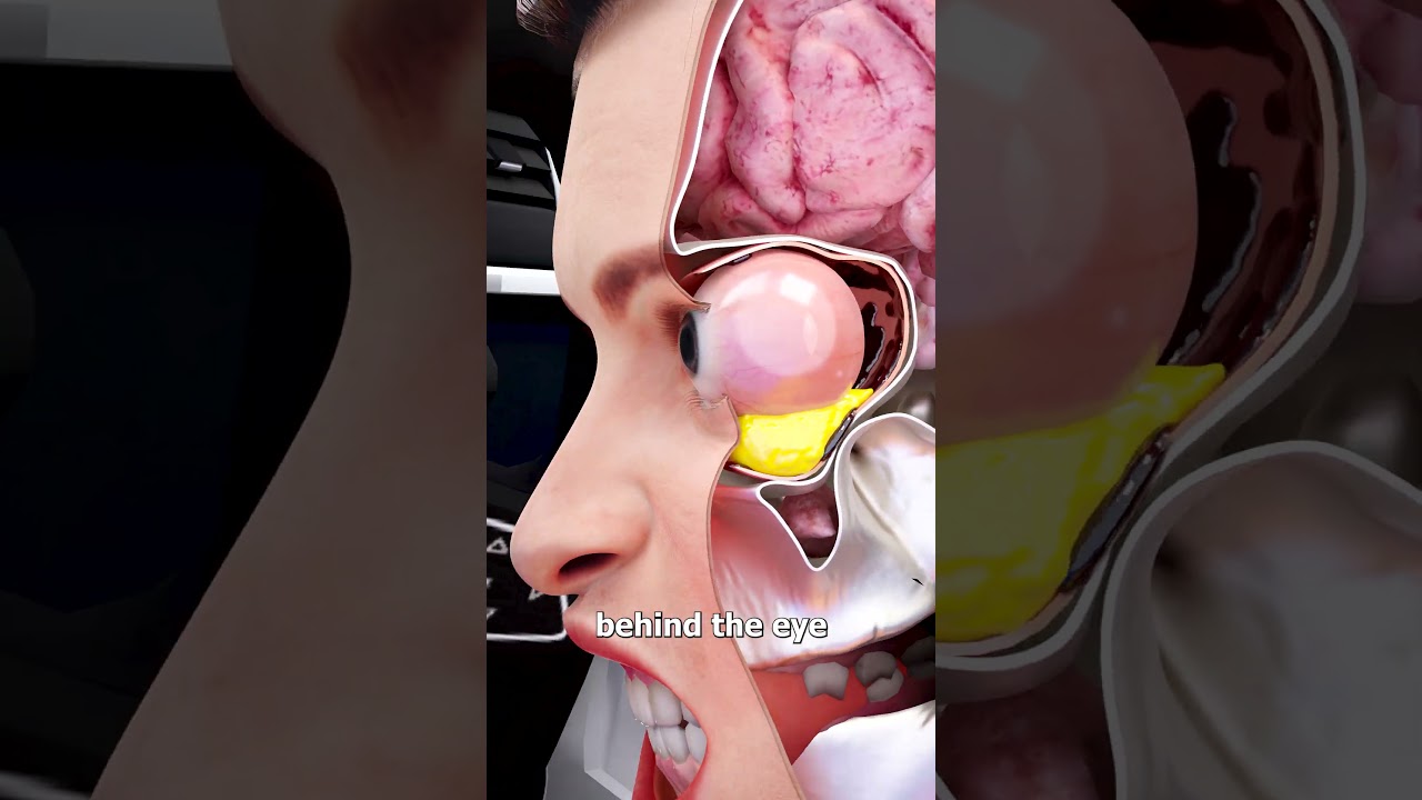 Losing Your Eyes In A Car Crash 😨