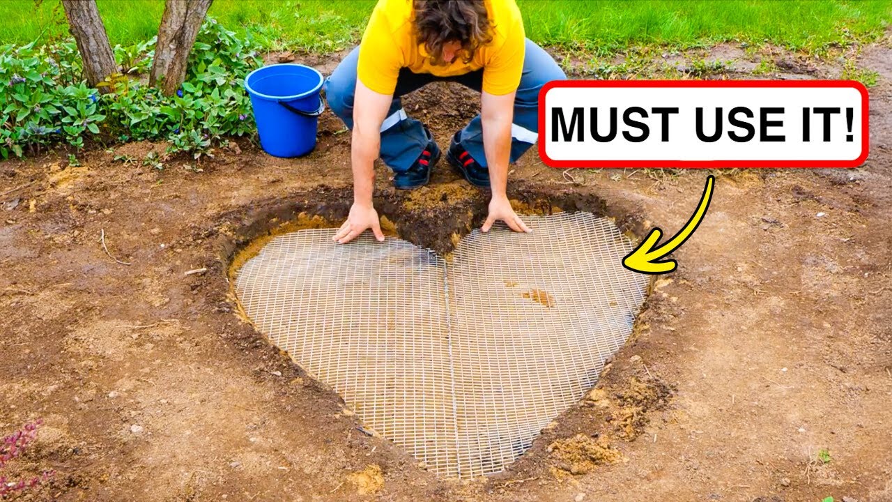 🐸 Magical DIY Ponds You Can Build to Transform Your Backyard 🌿💧