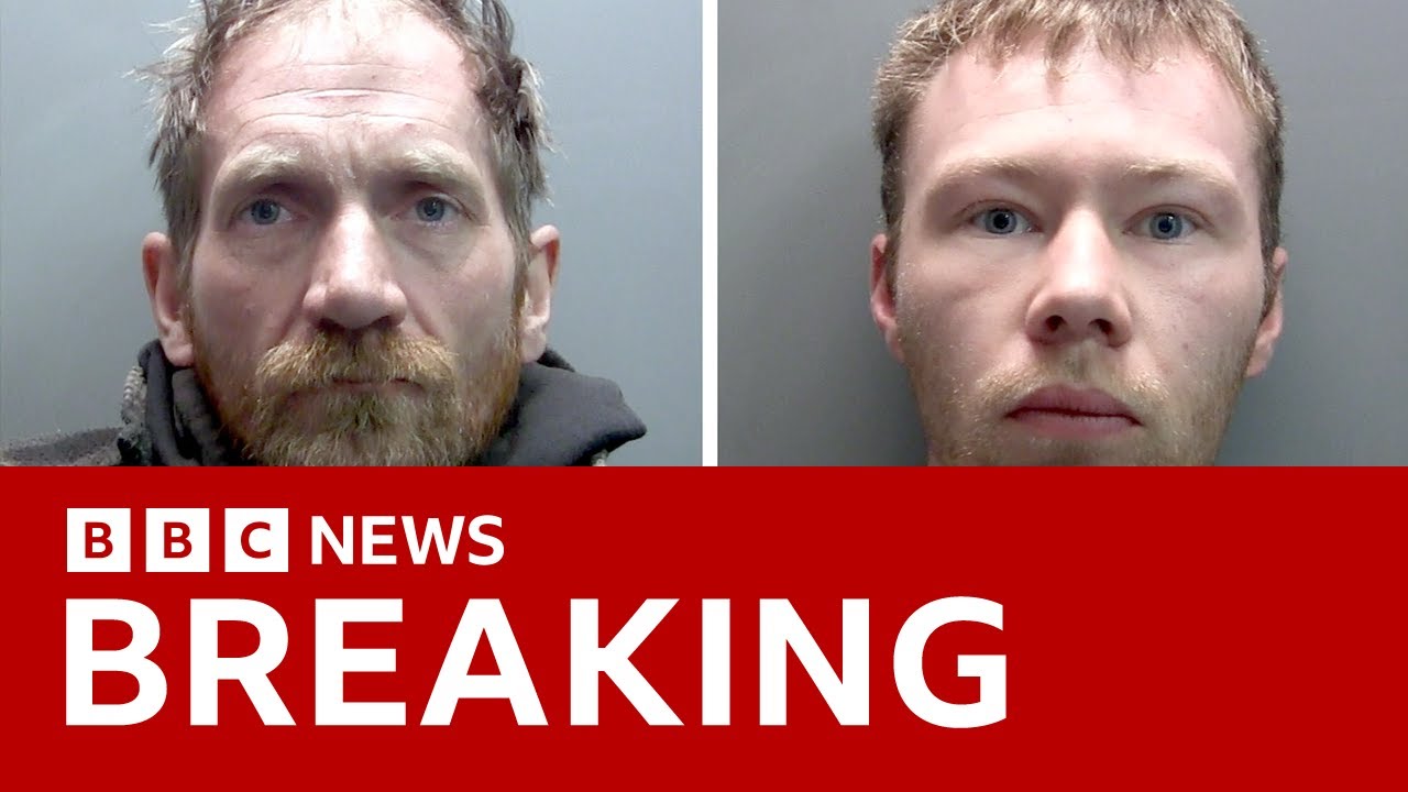 Men who cut down UK’s iconic Sycamore Gap tree sentenced to four years in prison |  BBC News