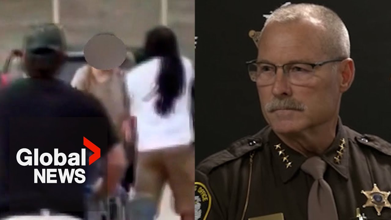 Michigan Walmart suspect who stabbed 11 faces terrorism, assault charges