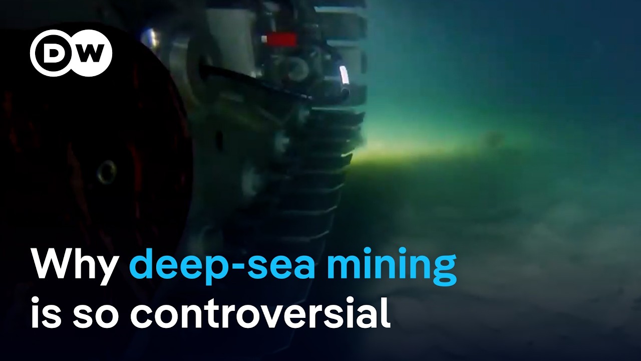 Nations discuss deep-sea mining at Jamaica summit | DW News