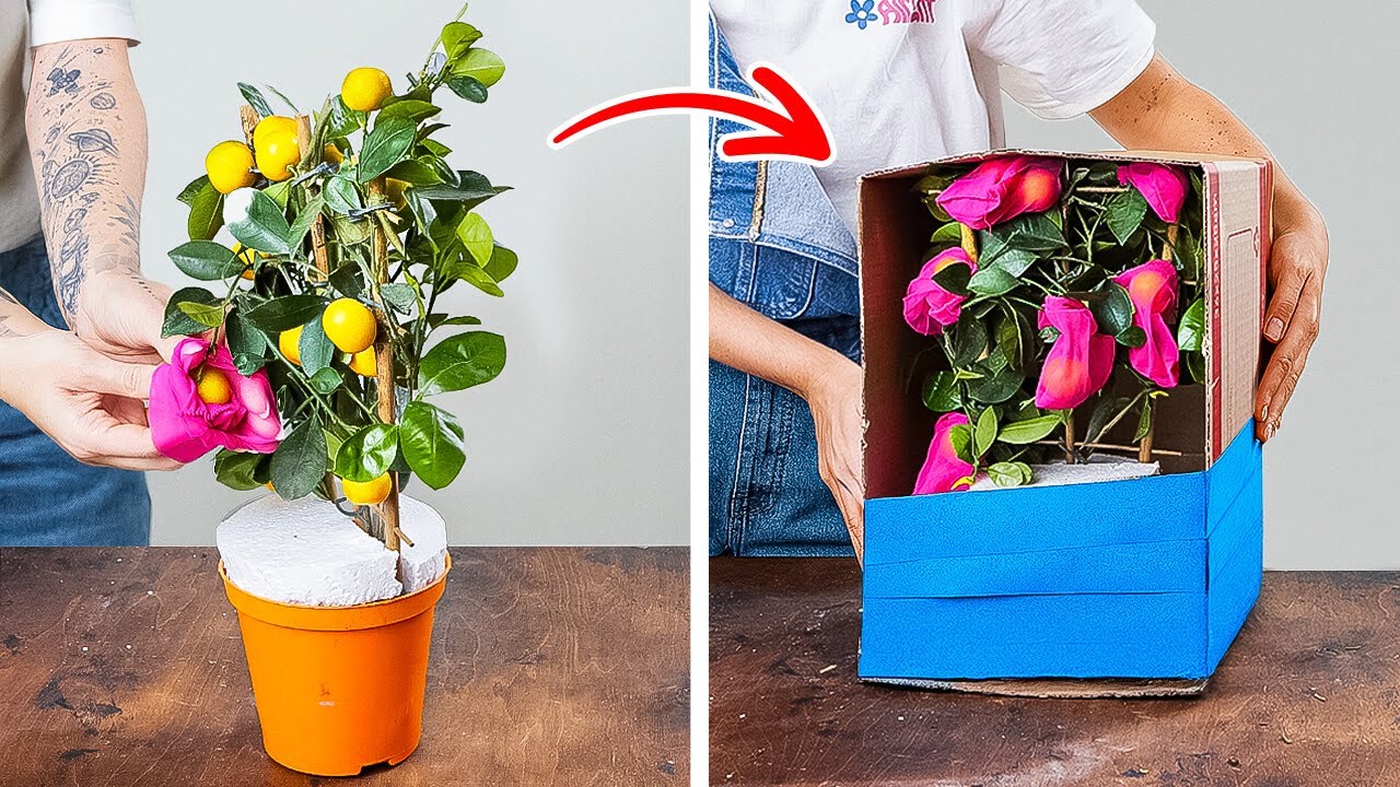 🌱 PLANT GROWING HACKS FOR BEGINNERS! Easy Tips That Actually Work 🪴✨