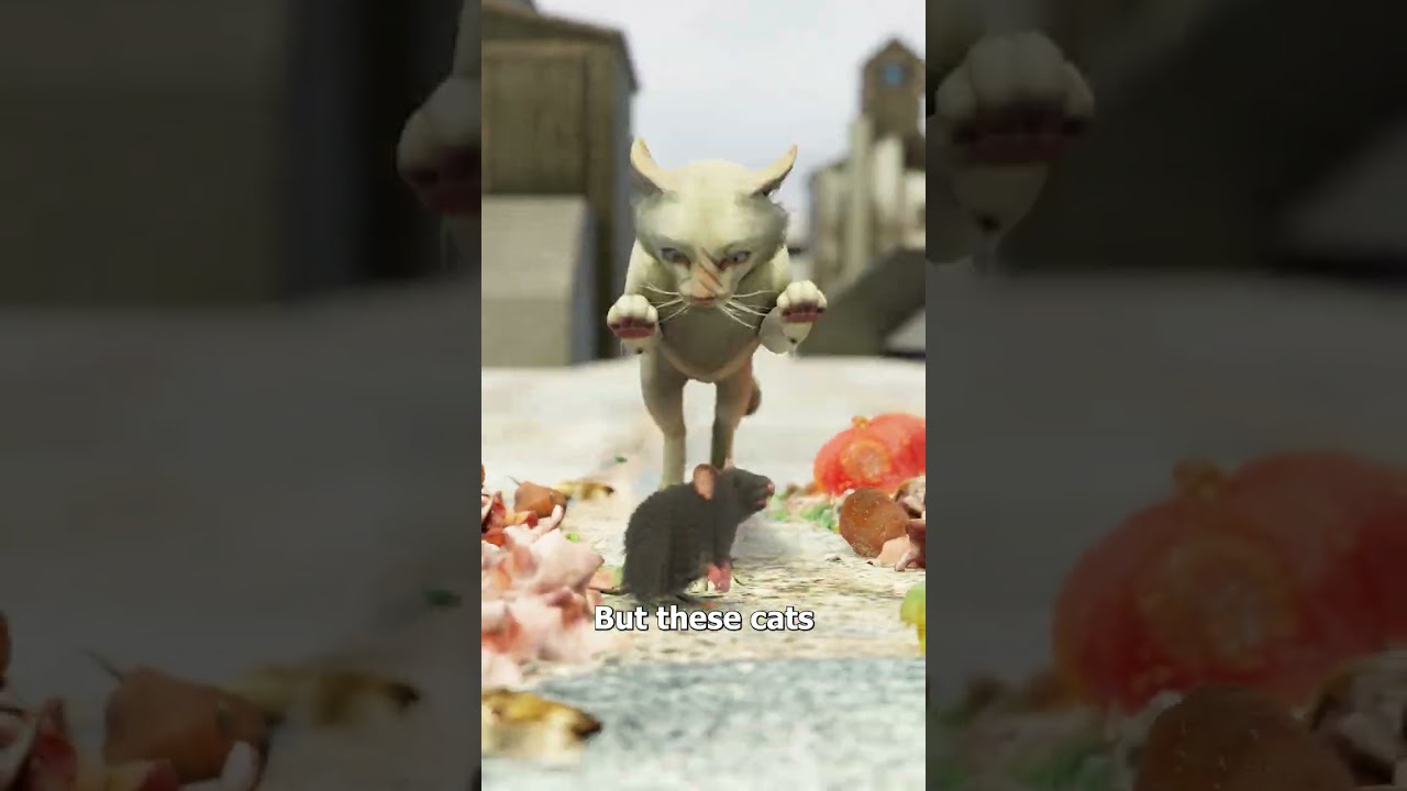 Pope Gregory IX’s War On Cats 🤨