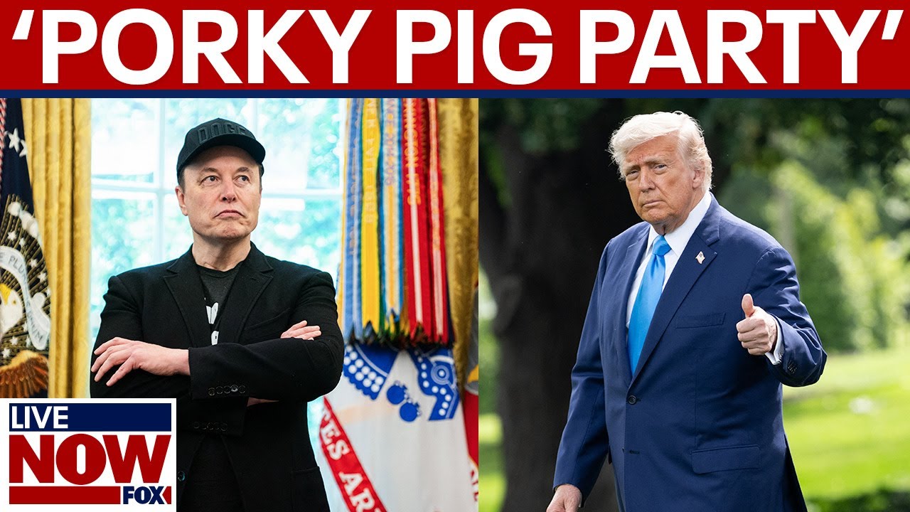 ‘Porky Pig Party’: Elon Musk slams President Trump’s mega tax bill, calls for a new party