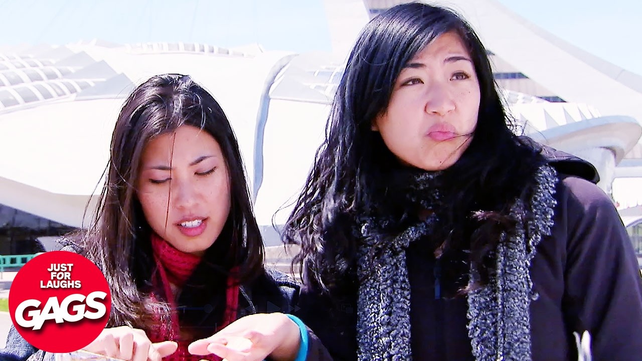 Pranking Dumb Tourists ✈️ | Just For Laughs Gags