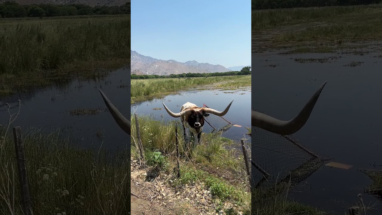 Retirement Is BS #earlyretirement #retirement #investing