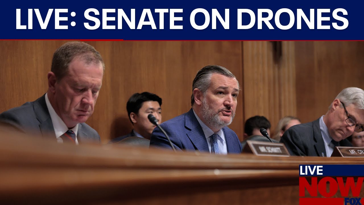 Senate hearing on law enforcement & drone safety