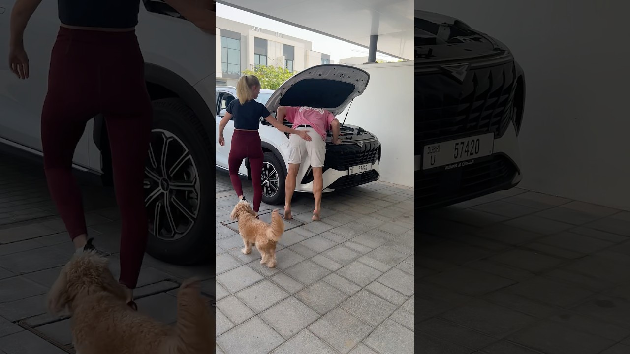 That was an unexpected twist…🤣 #cars #funny #relationships