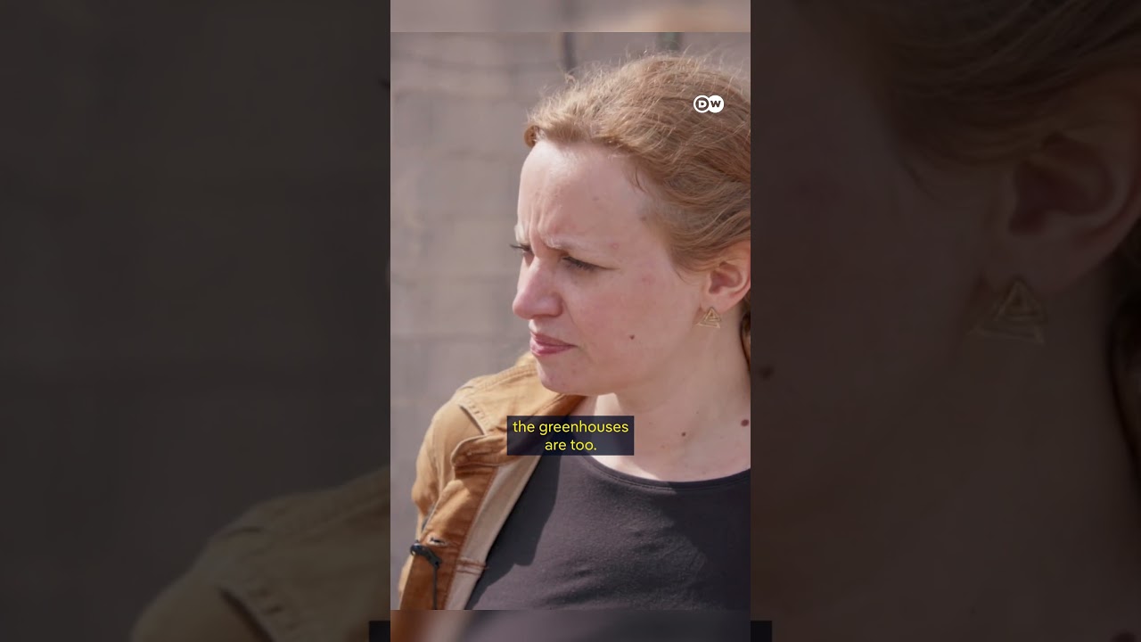 The hidden cost of tomatoes 🍅 | DW Documentary