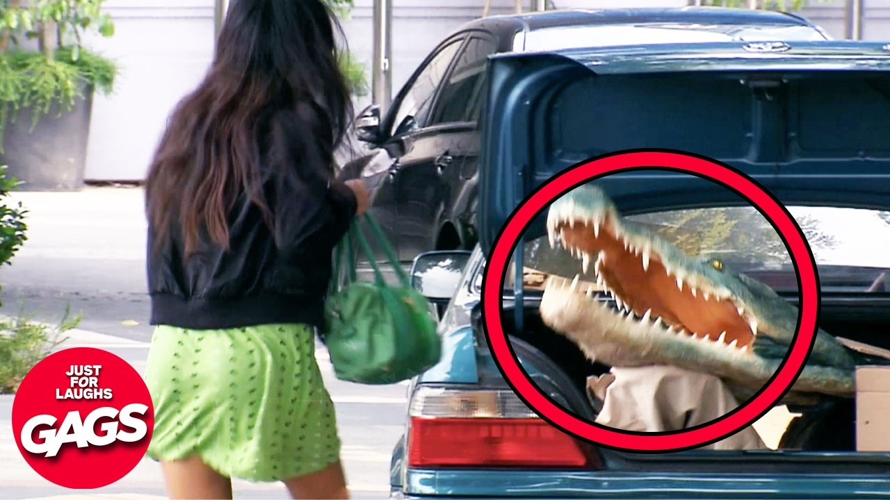 This Would Only Happen In Florida | Just For Laughs Gags