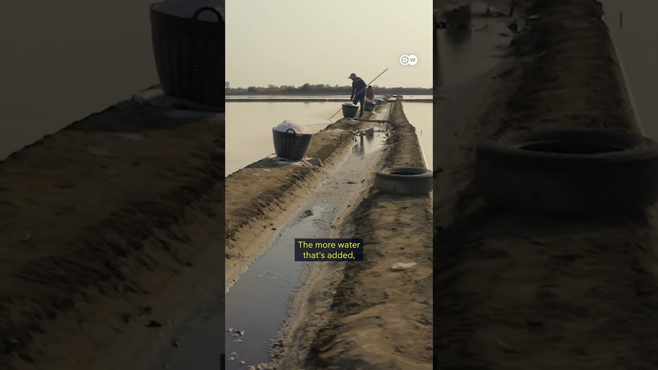 Traditional sea salt production in Thailand | DW Documentary