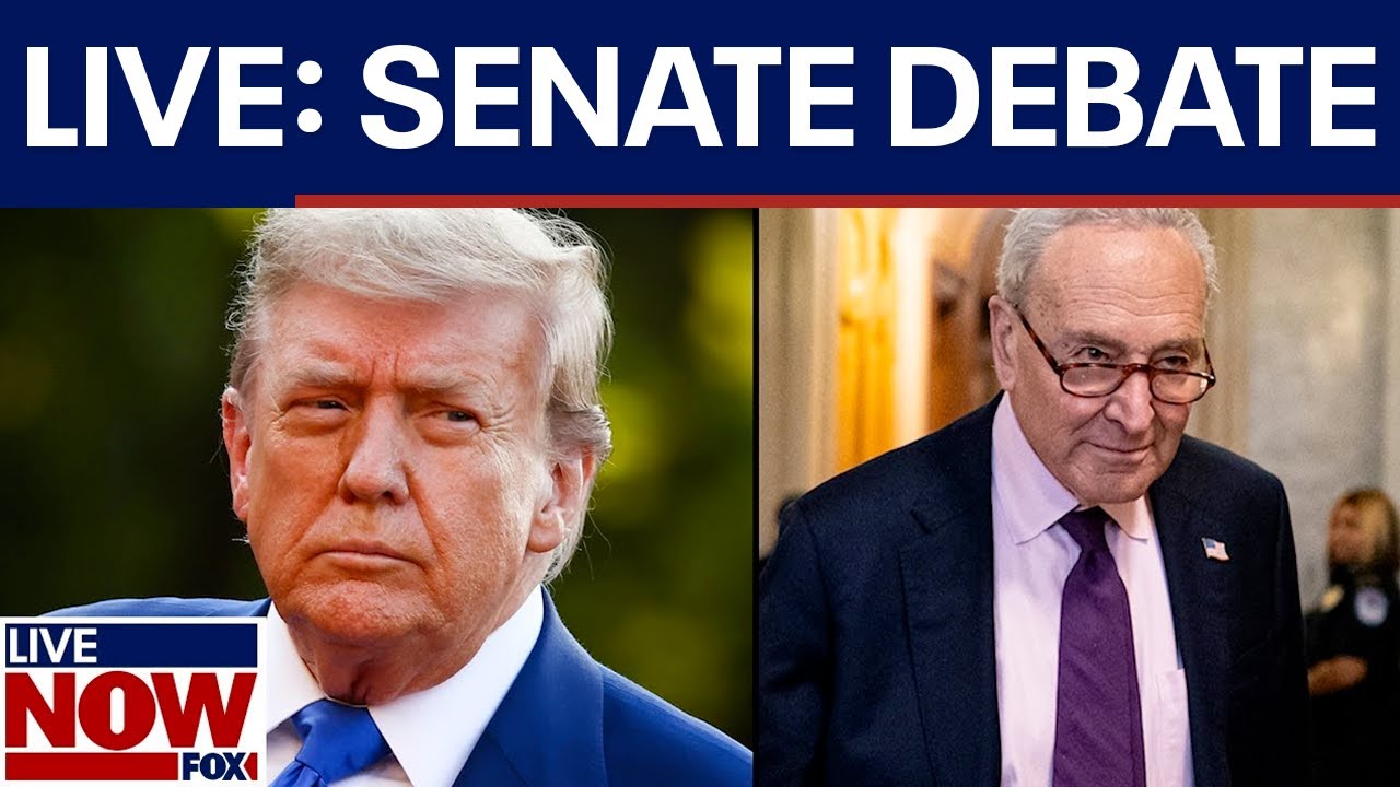 WATCH THE MOMENT: Senate passes Big Beautiful Bill