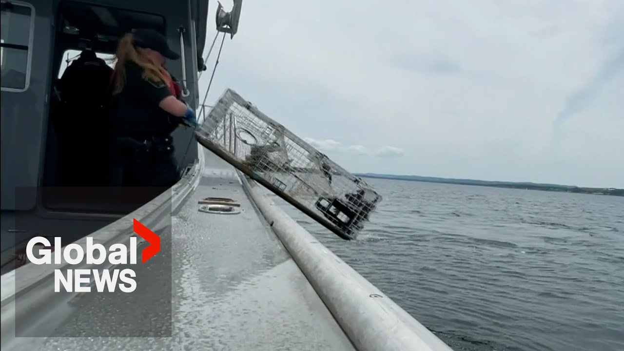 Why enforcement of Canada’s lobster fisheries doesn’t end with harvesting season