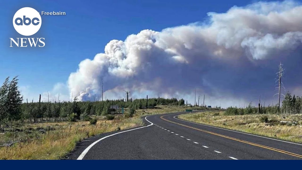 Wildfires burn out of control at Grand Canyon