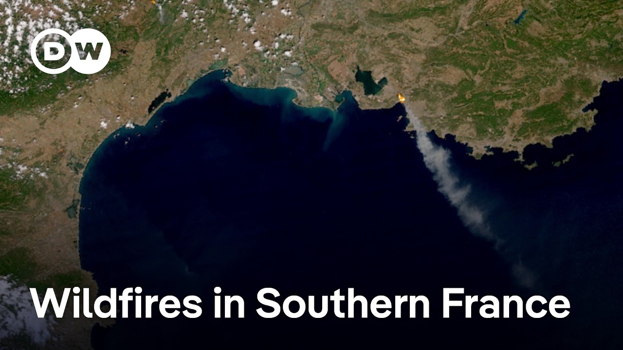 Wildfires in southern France lead to closure of Marseille Airport | DW News