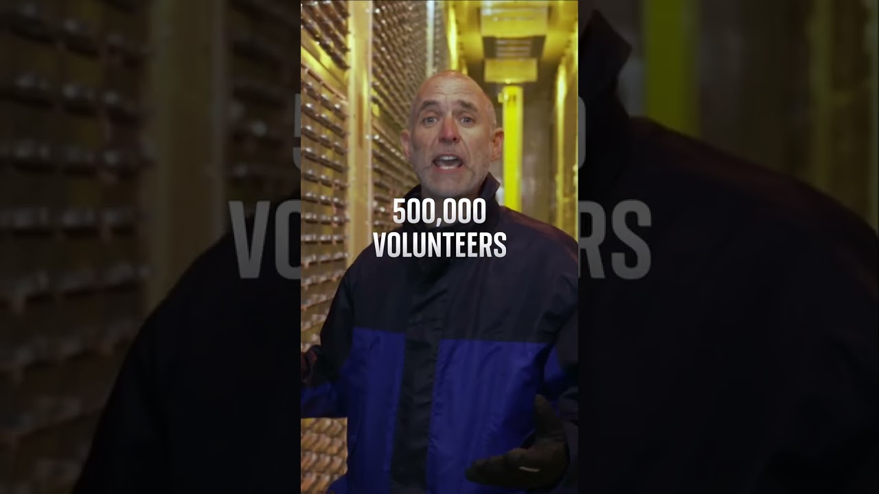 World’s largest human imaging project