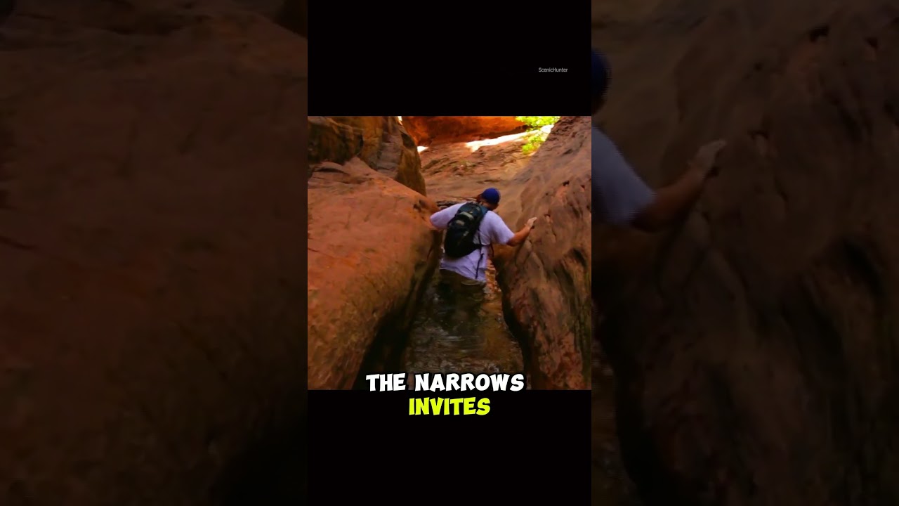 Zion National Park USA | #shorts