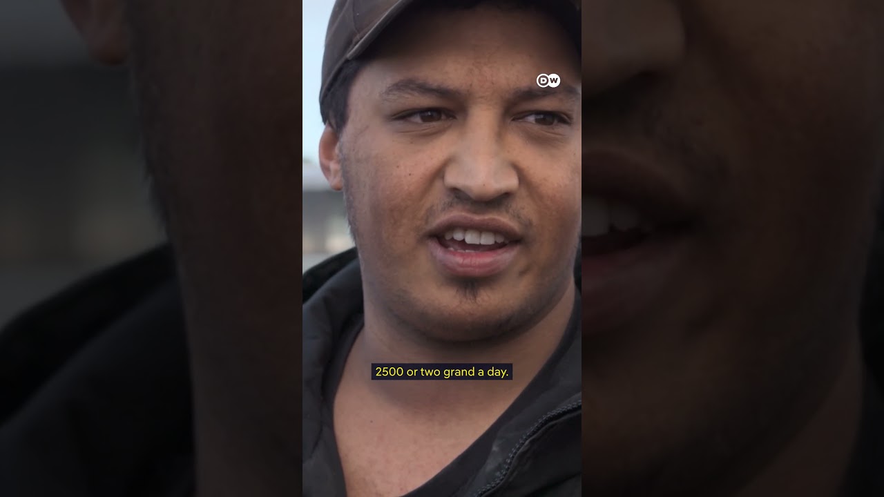 Abalone, sharks and survival | DW Documentary