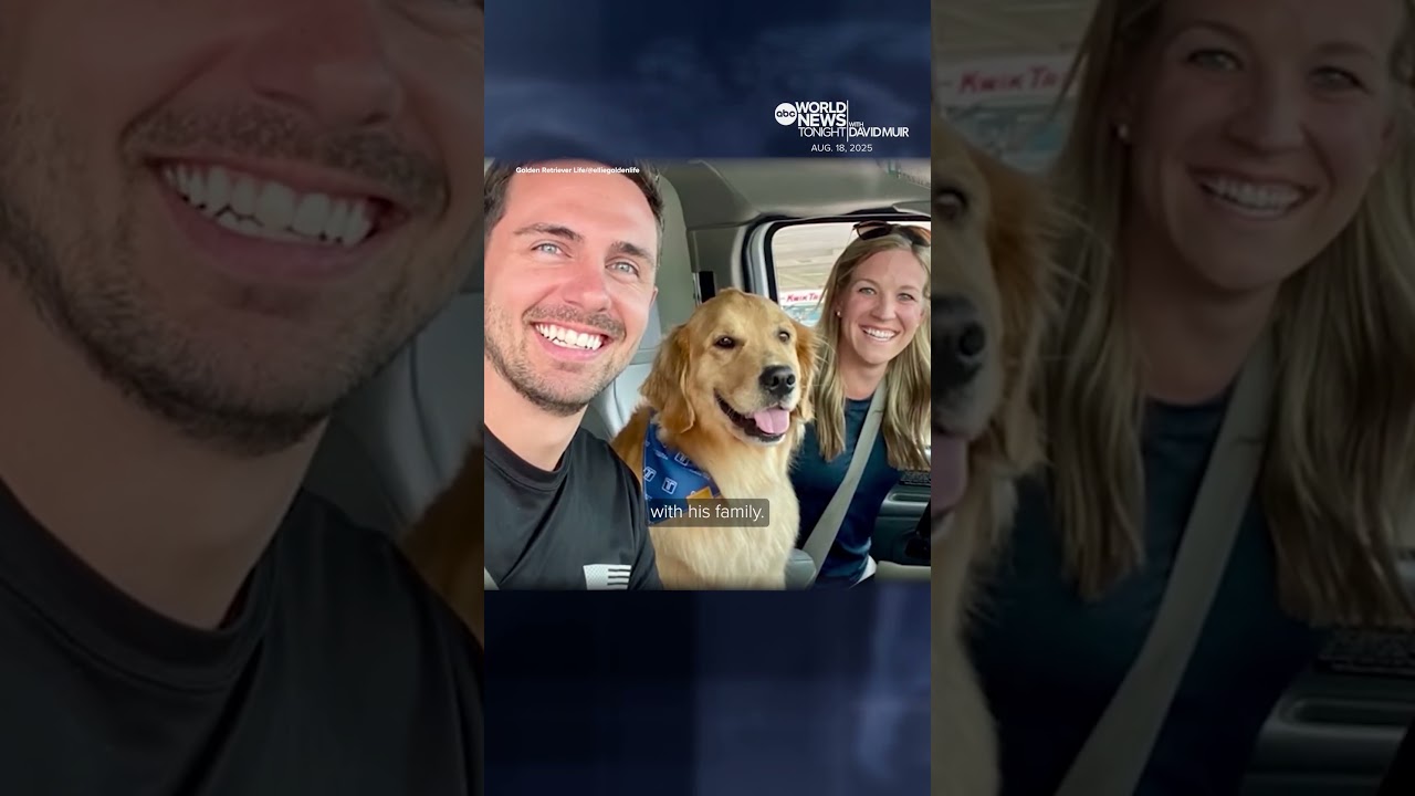 Army veteran travels the world with therapy dogs