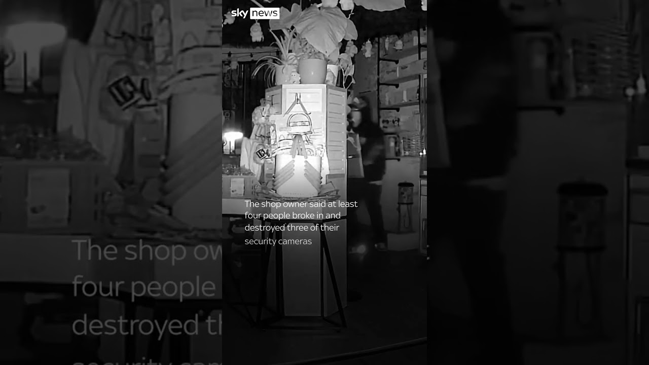 CCTV shows moment thieves steals $30k of merchandise from LA shop