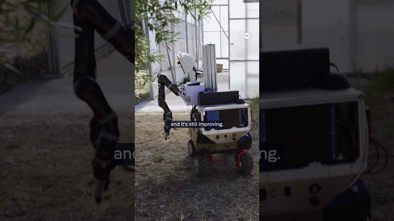 Could AI present an opportunity in agriculture? | DW Documentary