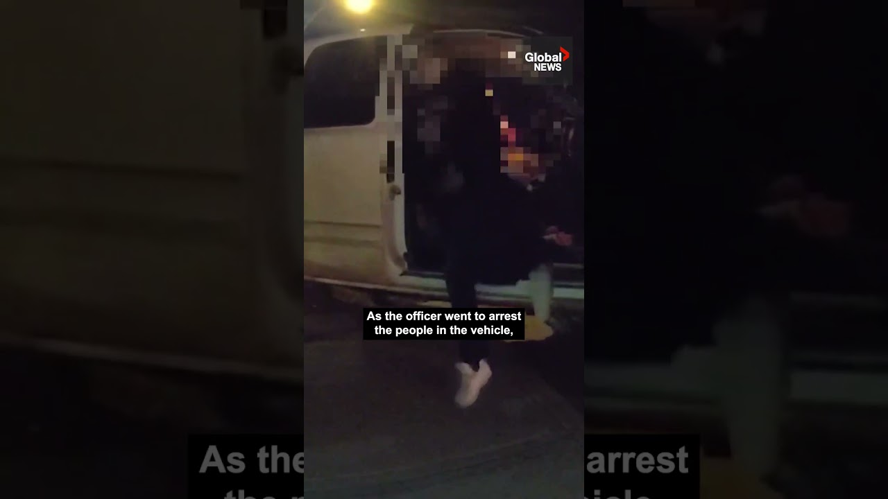 Dramatic stolen vehicle arrest in Alberta captured on police body cam